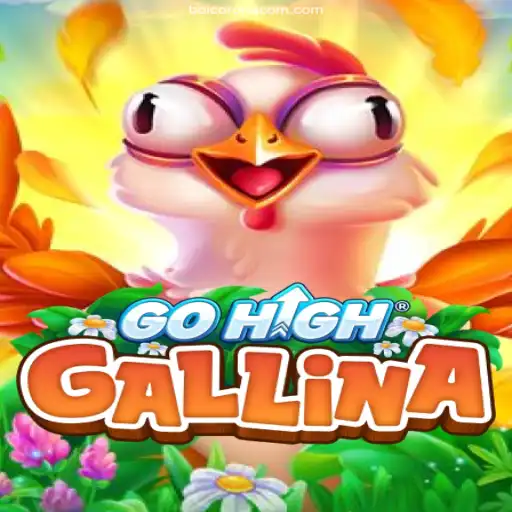 Exploring the Dynamic World of GoHighGallina: A Modern Gaming Phenomenon